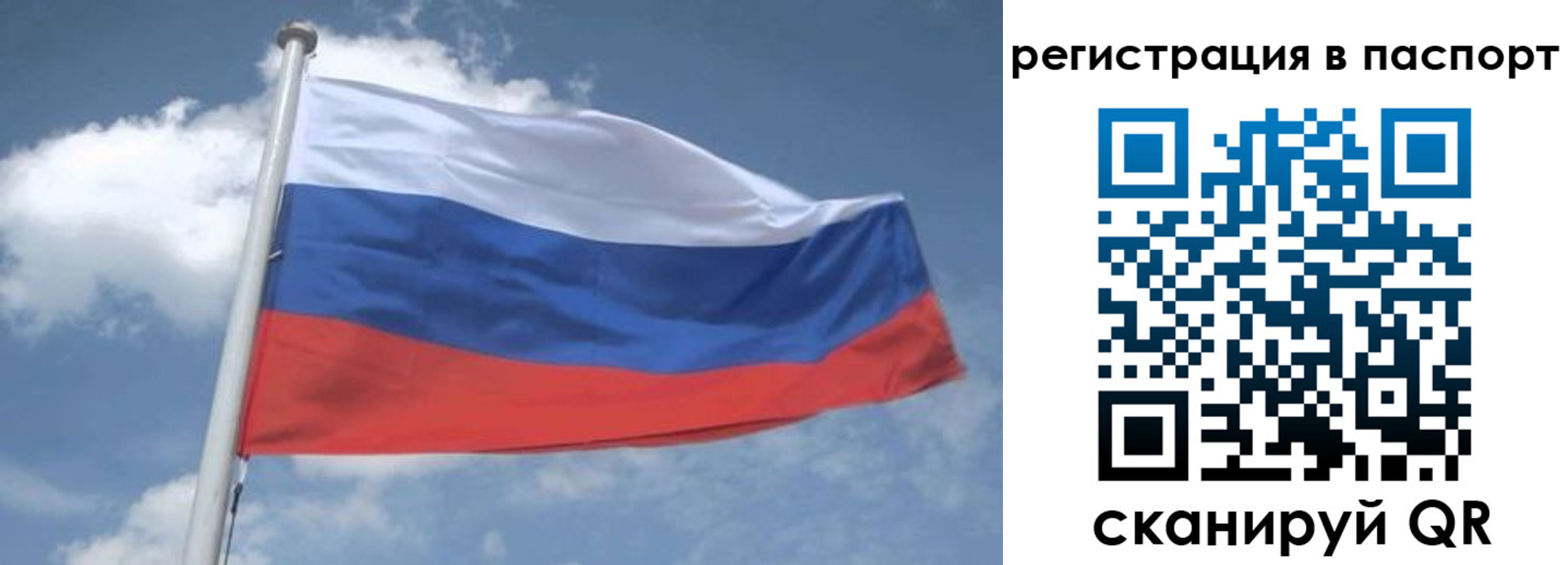 временная регистрация надежно в Кингисеппе